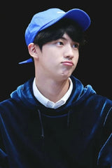 Jin Midnight Velvet Hoodie