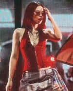 Jennie Zip Corset Top