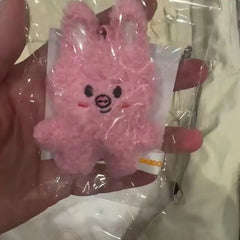 SKZoo™ Mini Plush Keychain – Kawaii Stray Kids Doll Bag Pendant
